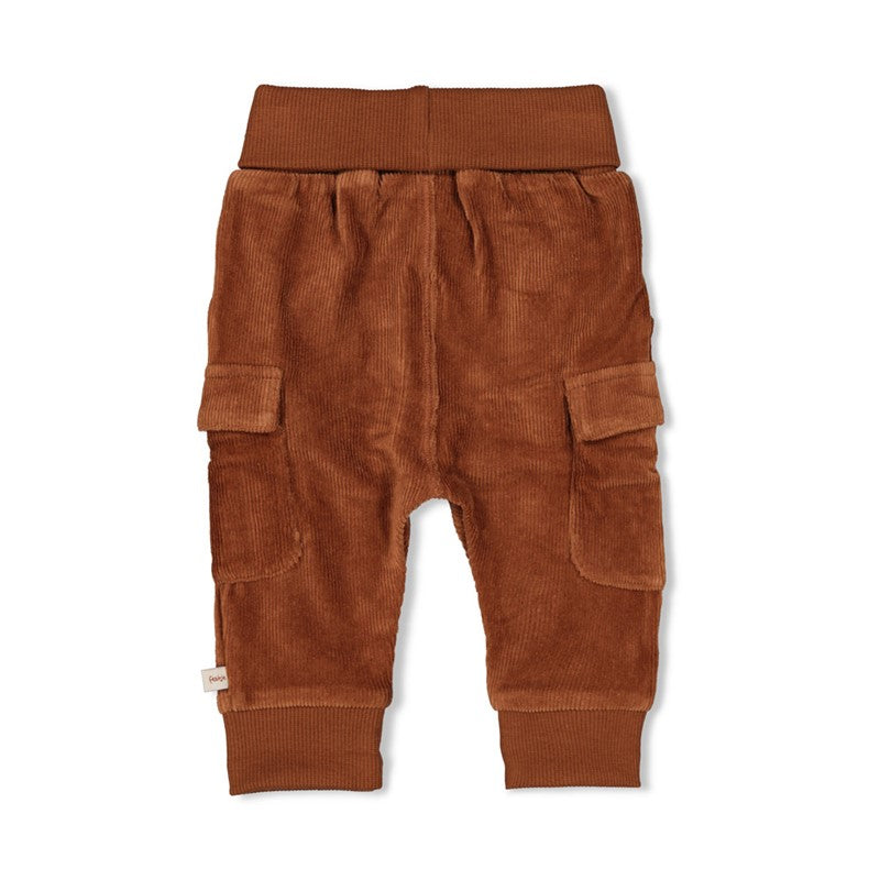 Feetje - Wild World - Broek velours RIB - Bruin