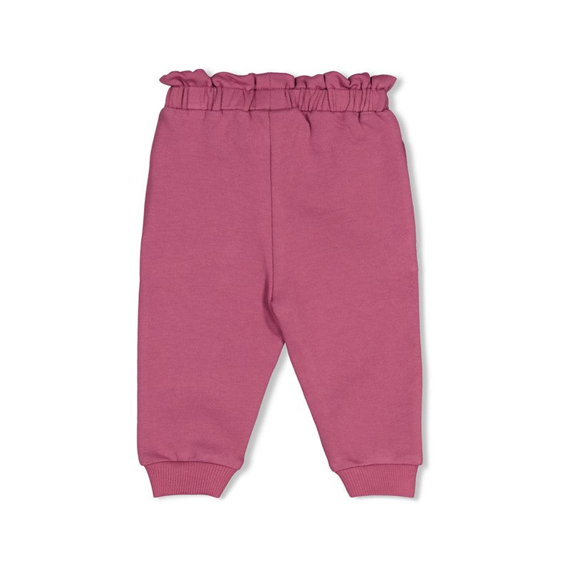 Feetje Afternoon Tea - Broek Berry