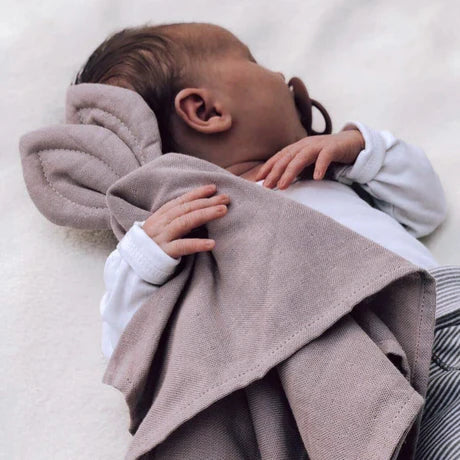 Saga Cuddle Cloth Mauve