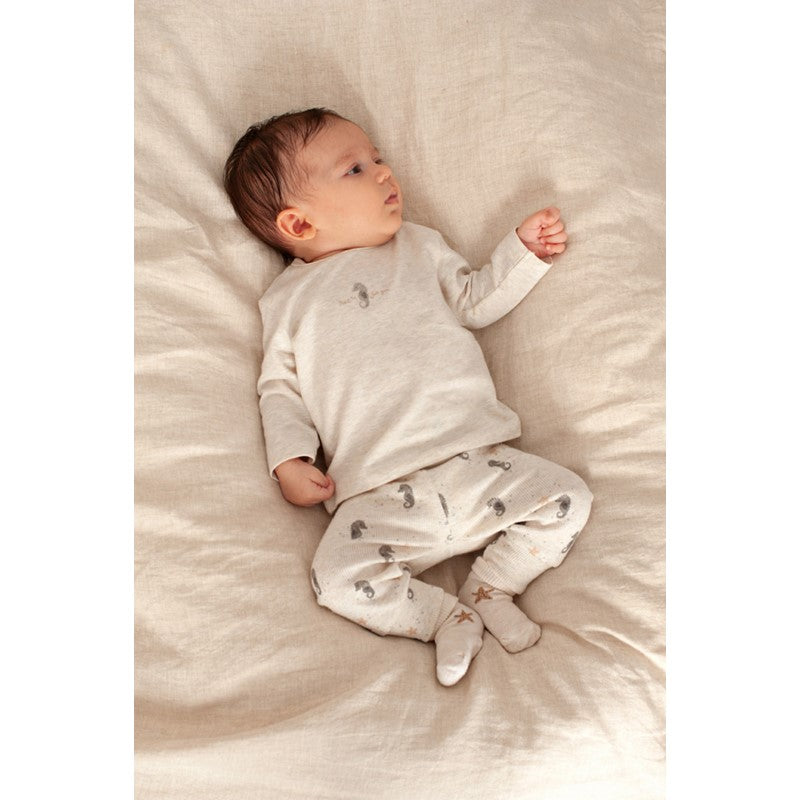 Feetje - Broek Rib AOP